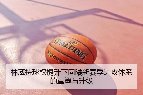 林葳持球权提升下同曦新赛季进攻体系的重塑与升级